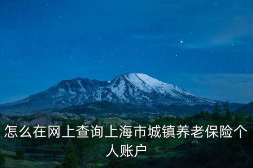 怎么在網(wǎng)上查詢上海市城鎮(zhèn)養(yǎng)老保險個人賬戶
