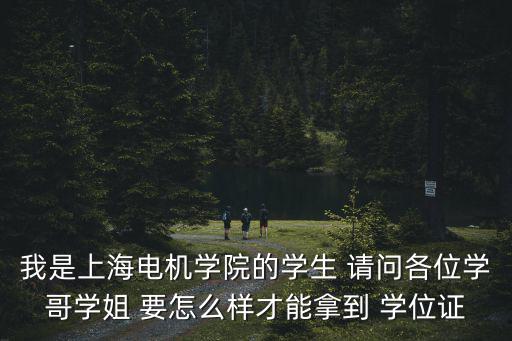 上海電機(jī)學(xué)院圖書館，我是上海電機(jī)學(xué)院的學(xué)生 請問各位學(xué)哥學(xué)姐 要怎么樣才能拿到 學(xué)位證