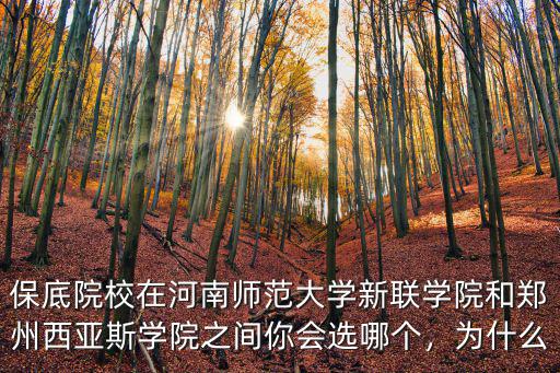 保底院校在河南師范大學新聯學院和鄭州西亞斯學院之間你會選哪個，為什么