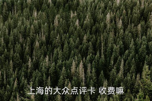 上海的大眾點評卡 收費嘛