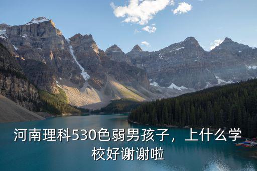 河南理科530色弱男孩子，上什么學(xué)校好謝謝啦