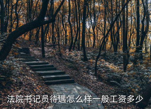 法院書(shū)記員待遇怎么樣一般工資多少