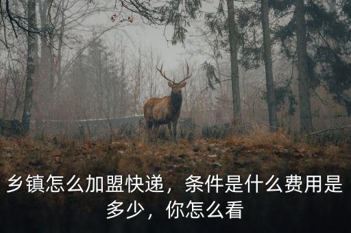 鄉鎮怎么加盟快遞，條件是什么費用是多少，你怎么看