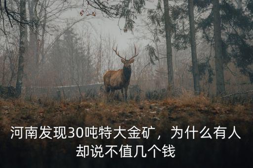 南陽怎么發現金礦,河南發現30噸特大金礦