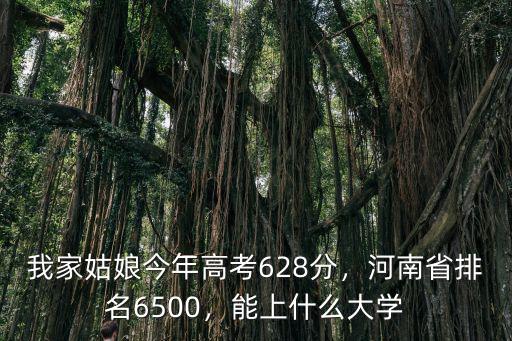 我家姑娘今年高考628分，河南省排名6500，能上什么大學(xué)
