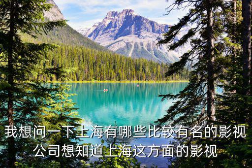 我想問一下上海有哪些比較有名的影視公司想知道上海這方面的影視