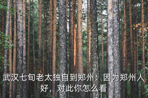 武漢七旬老太獨(dú)自到鄭州：因?yàn)猷嵵萑撕茫瑢?duì)此你怎么看