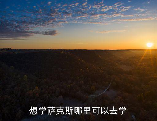 開封哪里可以學薩克斯,想學薩克斯哪里可以去學