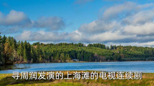 尋周潤發演的上海灘的電視連續劇