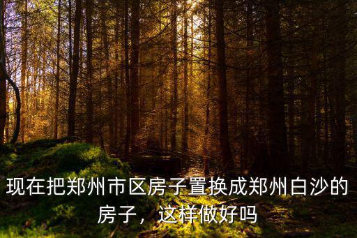 現在把鄭州市區房子置換成鄭州白沙的房子，這樣做好嗎