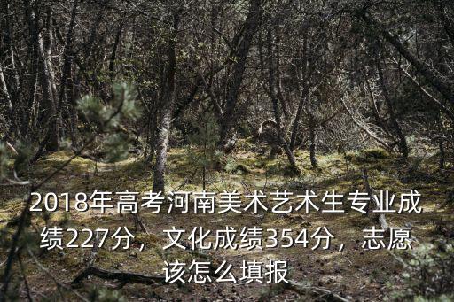 2018年高考河南美術藝術生專業成績227分，文化成績354分，志愿該怎么填報