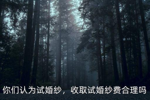 你們認為試婚紗，收取試婚紗費合理嗎