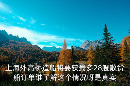 上海外高橋造船將要獲最多28艘散貨船訂單誰了解這個情況呀是真實