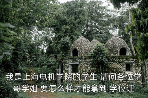 我是上海電機學院的學生 請問各位學哥學姐 要怎么樣才能拿到 學位證