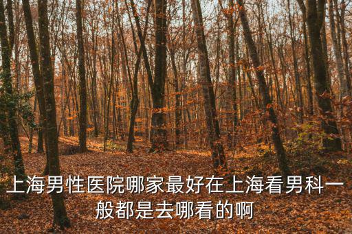 上海男性醫院哪家最好在上?？茨锌埔话愣际侨ツ目吹陌? class=