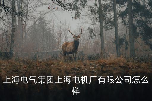 上海電氣集團(tuán)上海電機(jī)廠有限公司怎么樣