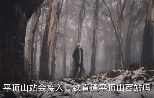 平頂山站會(huì)接入高鐵直通平頂山西站嗎