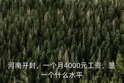 河南一個月工資多少錢一個月多少錢,一個月4000元工資
