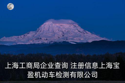 上海工商局企業信息查詢，有沒有上海信息管理中心這個公司