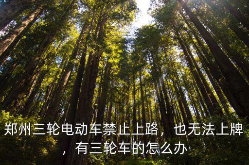 鄭州三輪電動(dòng)車禁止上路，也無法上牌，有三輪車的怎么辦