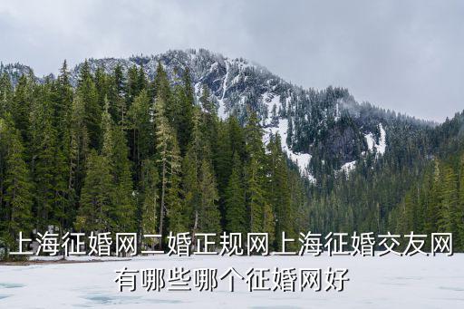 上海征婚網(wǎng)二婚正規(guī)網(wǎng)上海征婚交友網(wǎng)有哪些哪個征婚網(wǎng)好