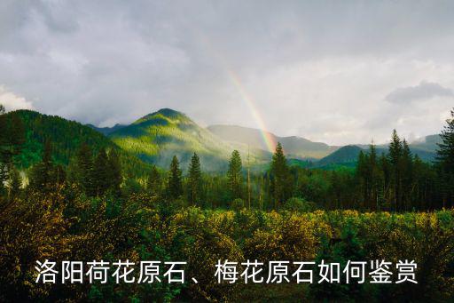 洛陽荷花原石、梅花原石如何鑒賞