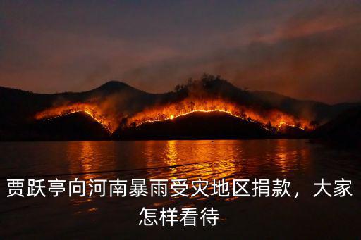 河南汛情怎么捐款,海底撈捐款了嗎