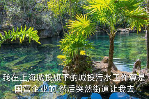 我在上海城投旗下的城投污水工作算是國營企業(yè)的 然后突然街道讓我去