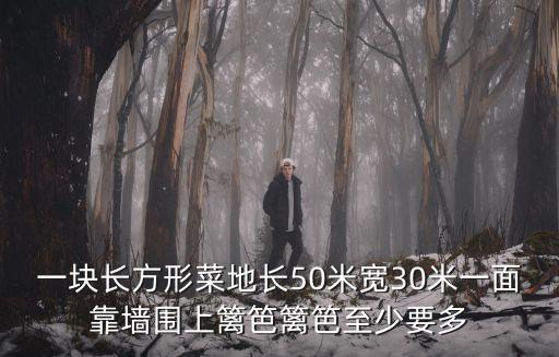 一塊長方形菜地長50米寬30米一面靠墻圍上籬笆籬笆至少要多