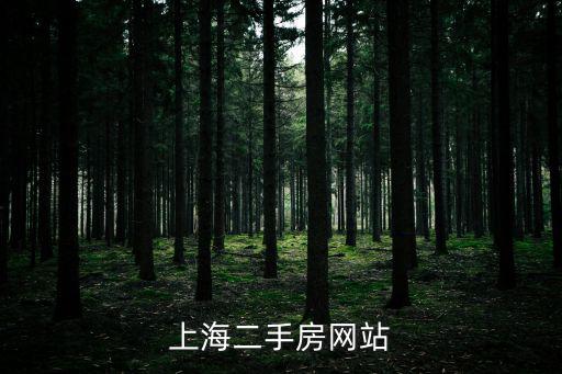上海房屋出售，上海二手房網站