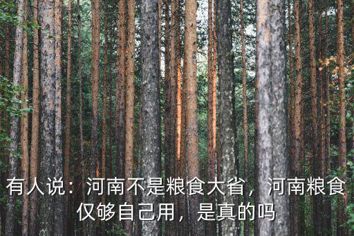 有人說：河南不是糧食大省，河南糧食僅夠自己用，是真的嗎