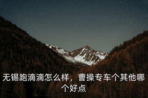 無錫跑滴滴怎么樣，曹操專車個其他哪個好點