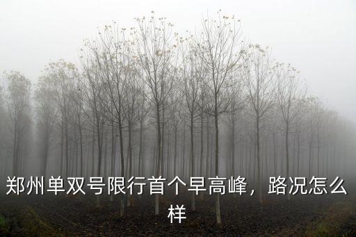 鄭州單雙號限行首個早高峰，路況怎么樣