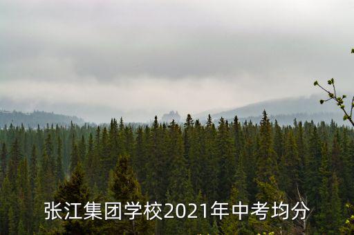 張江集團學校2021年中考均分