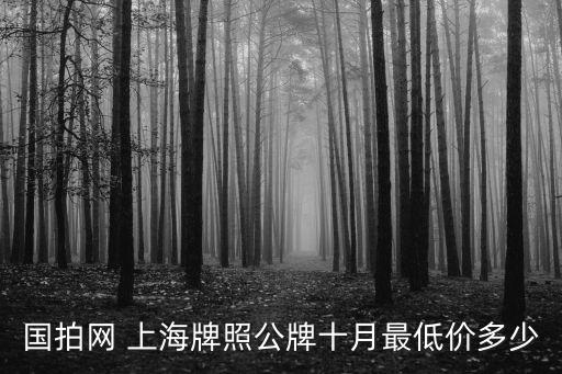 國拍網 上海牌照公牌十月最低價多少