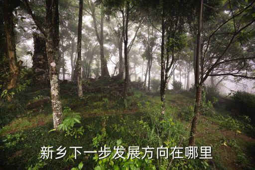 新鄉(xiāng)下一步發(fā)展方向在哪里