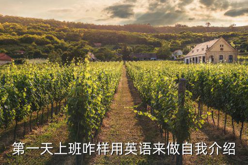 第一天上班咋樣用英語來做自我介紹