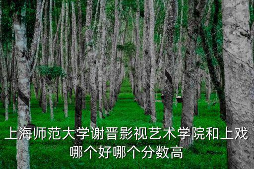 上海師范大學謝晉影視藝術學院和上戲哪個好哪個分數高