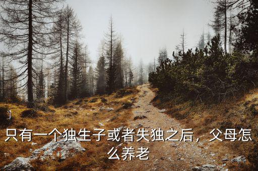 只有一個獨生子或者失獨之后，父母怎么養老