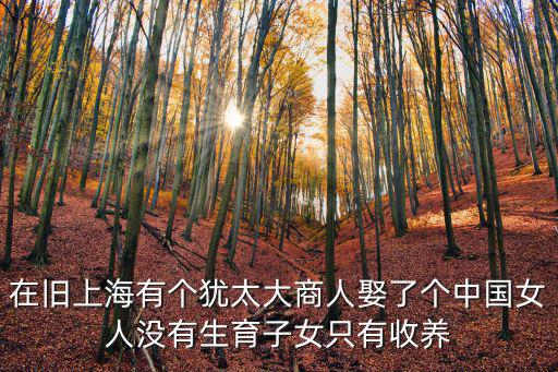 在舊上海有個猶太大商人娶了個中國女人沒有生育子女只有收養(yǎng)