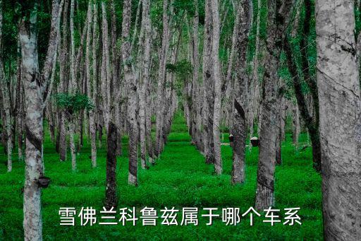 雪佛蘭科魯茲屬于哪個車系