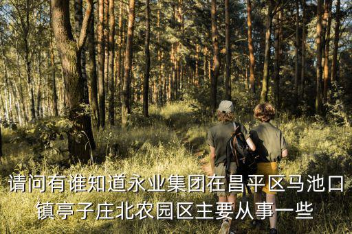 請問有誰知道永業集團在昌平區馬池口鎮亭子莊北農園區主要從事一些
