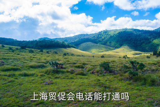 上海貿促會電話能打通嗎