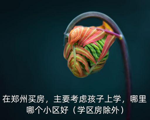 在鄭州買房，主要考慮孩子上學，哪里哪個小區好（學區房除外）