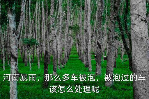河南暴雨，那么多車被泡，被泡過的車該怎么處理呢