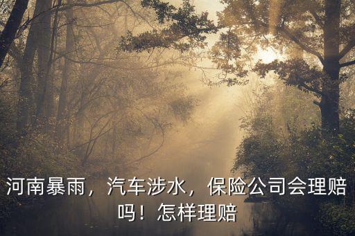 河南暴雨，汽車涉水，保險公司會理賠嗎！怎樣理賠