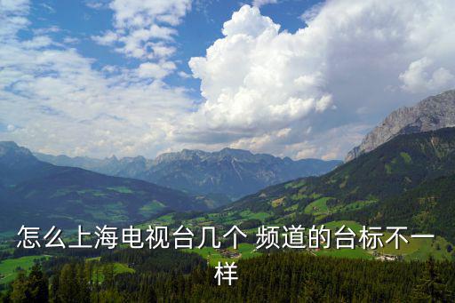 怎么上海電視臺幾個 頻道的臺標不一樣