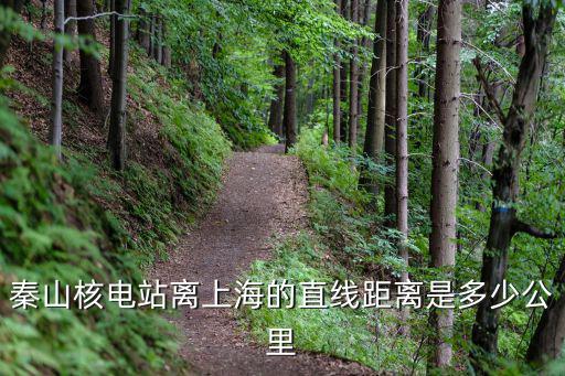 上海金山事件，科目二考試時把考試車撞壞了誰負(fù)責(zé)