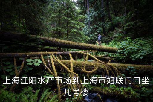 上海江陽水產(chǎn)市場到上海市婦聯(lián)門口坐幾號樓