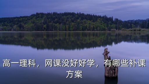 高一理科，網(wǎng)課沒(méi)好好學(xué)，有哪些補(bǔ)課方案